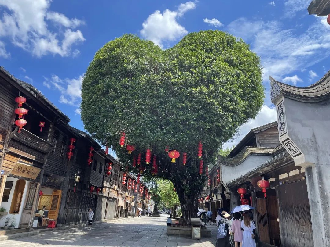在福州的三坊七巷歷史文化街里，親眼見到了這棵愛心樹
