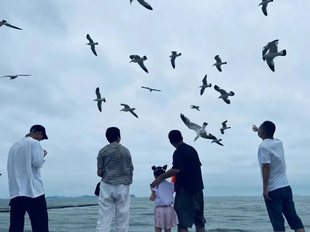 人約山海間，翩然見天地，抵達(dá)目的地的銘品家人們，第一時間去海邊漫步，感受傍晚的溫柔海風(fēng)。